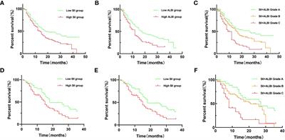 Construction and validation of a novel prognostic model for intrahepatic cholangiocarcinoma based on a combined scoring system of systemic immune-inflammation index and albumin-bilirubin: a multicenter study